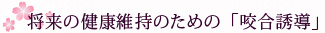 将来の健康維持のための「咬合誘導」