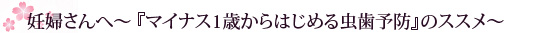 妊婦さんへ～『マイナス1歳からはじめる虫歯予防』のススメ～